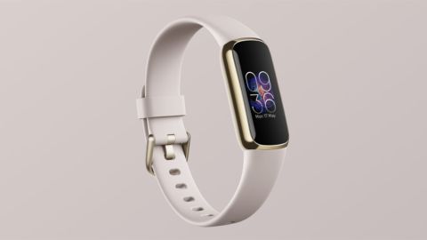 Fitbit Luxe.