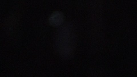 Signo de Luis Miguel