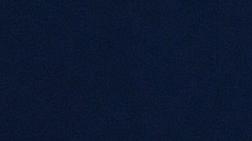 Javier "Chicharito" Hernandez