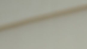 Gregg Abbott, Gobernador de Texas