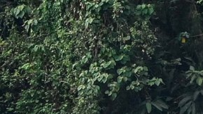 Tren accidente Taiwán