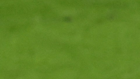Fc Bayern.