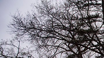 Protestas en Minneapolis.