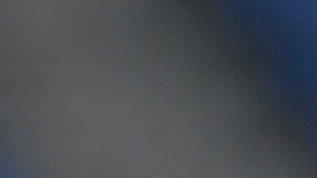 Gallardo tuvo que devolverse a México en busca del documento migratorio.