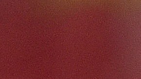 Después del episodio los jugadores siguieron su camino a casa.