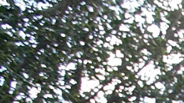 Fachada del edificio de justicia criminal del Condado de Los Ángeles.