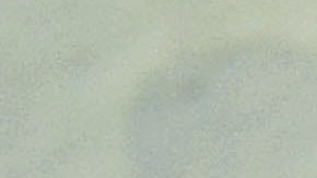 El análisis del cerebro será para determinar si Phillip Adams sufría de CTE.