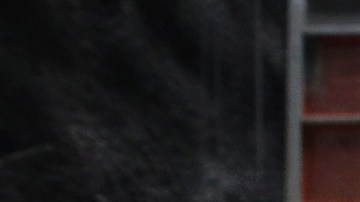 El plan de Biden crearía miles de empleos.