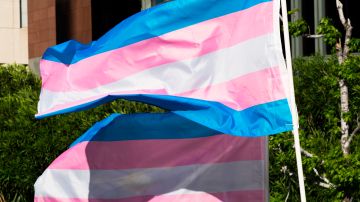 Bandera transgénero