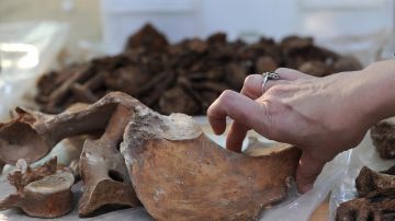 Los restos prehistóricos fueron hallados unos 5 pies bajo tierra en Las Vegas. Foto de archivo.