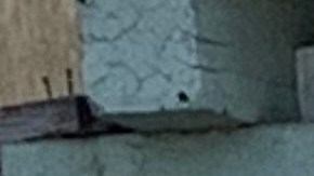 Sofía Mendoza pide un alto al acoso por parte de su arrendadora. (ACCE)