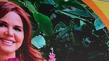 Así regresó María Celeste a Univision