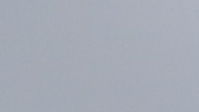 Conductores de camiones protestaron en Compton. (Suministrada)