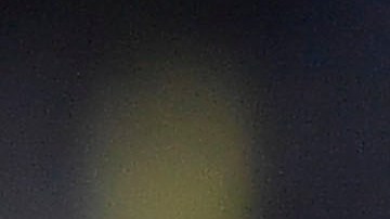 Víctor Manuel Vucetich