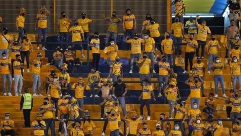 Tigres