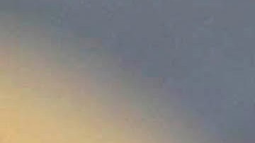 Aficionado de Tigres