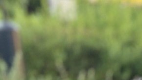 Otoniel Rodríguez y su esposa Josseling Oseguera. (Suministrada)