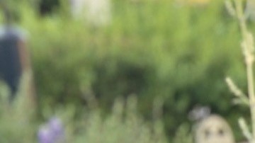 Otoniel Rodríguez y su esposa Josseling Oseguera. (Suministrada)