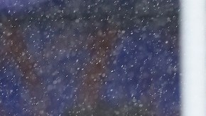 Jugada que terminó en la polémica