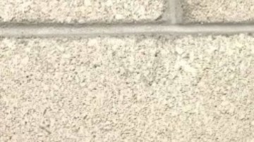 Michael Orlando Vivona