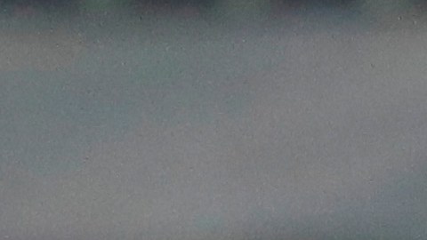 Miguel Herrera se acerca a Tigres