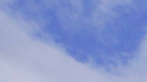 Oscar en Union Station