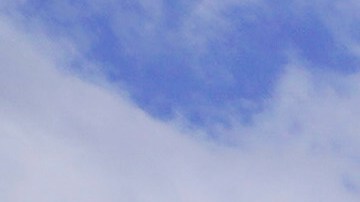 Oscar en Union Station