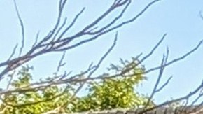 Empleados de Watts Health Center dispuestos a irse a huelga por mejores derechos.