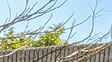 Empleados de Watts Health Center dispuestos a irse a huelga por mejores derechos.