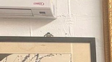 Diamantina Guzmán Lira logra regresar a EE UU para reunirse con su esposo Joaquín Lira y su hijos. (Cortesía Juan José Gutiérrez)