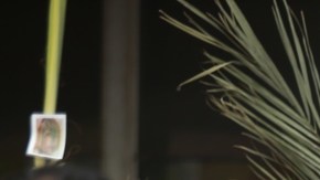 Padre rociando agua bendita a fieles católicos