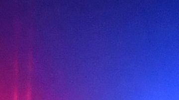 La policía de Los Ángeles pide la colaboración de residentes para encontrar al culpable.