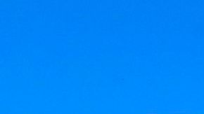 Reparto de alimentos