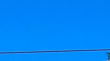 Reparto de alimentos