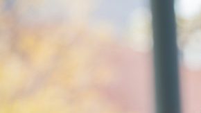 Rocío Sáenz,  vicepresidenta ejecutiva del Sindicato Internacional de Trabajadores de Servicios – SEIU