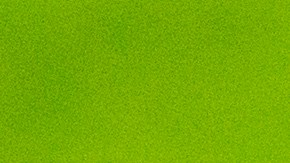 La celebración de Rogelio Funes Mori