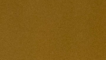 La representante Sheila Jackson Lee es la patrocinadora principal de la H.R.40.