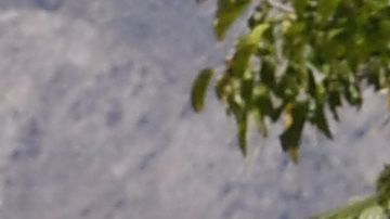 Patrulla del sheriff del condado de Riverside