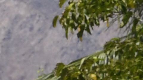 Patrulla del sheriff del condado de Riverside