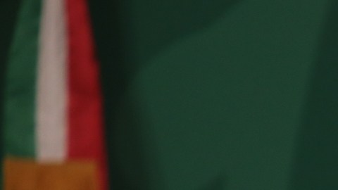 amlo