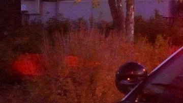 Patrulla de Wisconsin