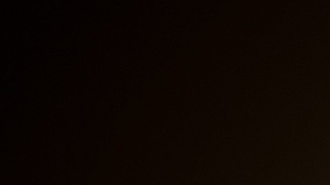 El despegue del cohete SpaceX Falcon 9 con la misión SpaceX Crew-2 de la NASA.