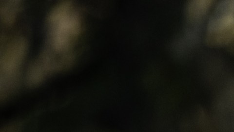 Familiares de los fallecidos escuchan al alcalde de Indianapolis, Joe Hogsett, en una vigilia el 17 de abril de 2021.