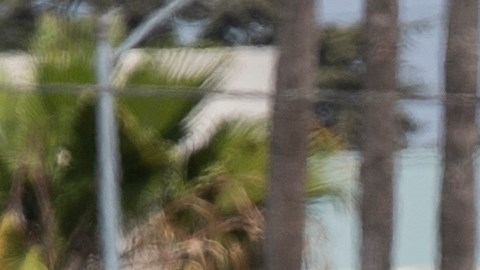 Tiroteo de LAPD en Hollywood