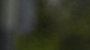 Los trabajadores indocumentados no han recibido ninguna ayuda económica federal.