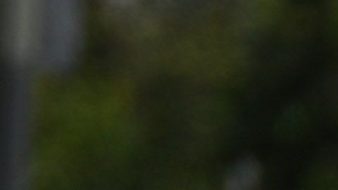 Los trabajadores indocumentados no han recibido ninguna ayuda económica federal.