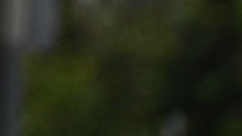 Los trabajadores indocumentados no han recibido ninguna ayuda económica federal.