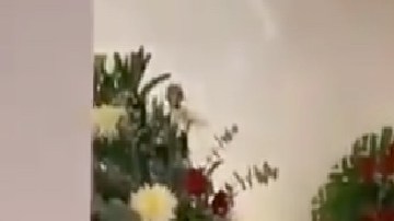 VIDEO: Alex Quintero fue despedido entre coronas de flores, alcohol y su folclórico traje naranja