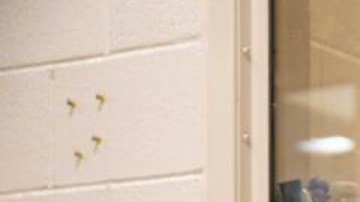 Familia de Venezuela en Calexico