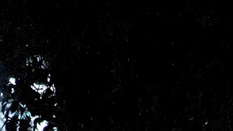 Oficiales de Policía afuera del complejo de oficinas en Orange donde ocurrió la masacre.